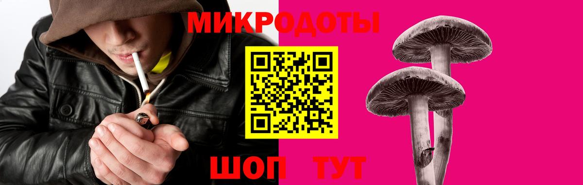 Псилоцибиновые грибы прущие грибы  купить наркоту  Богданович  Вход с VPN  Галлюциногенные грибы мухоморы 